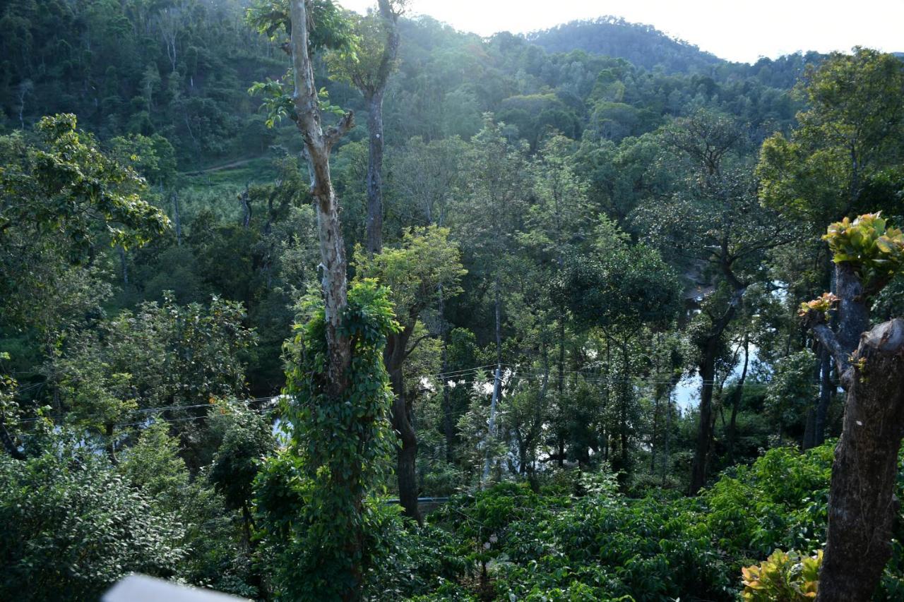 River View Guest House 马迪凯里 外观 照片