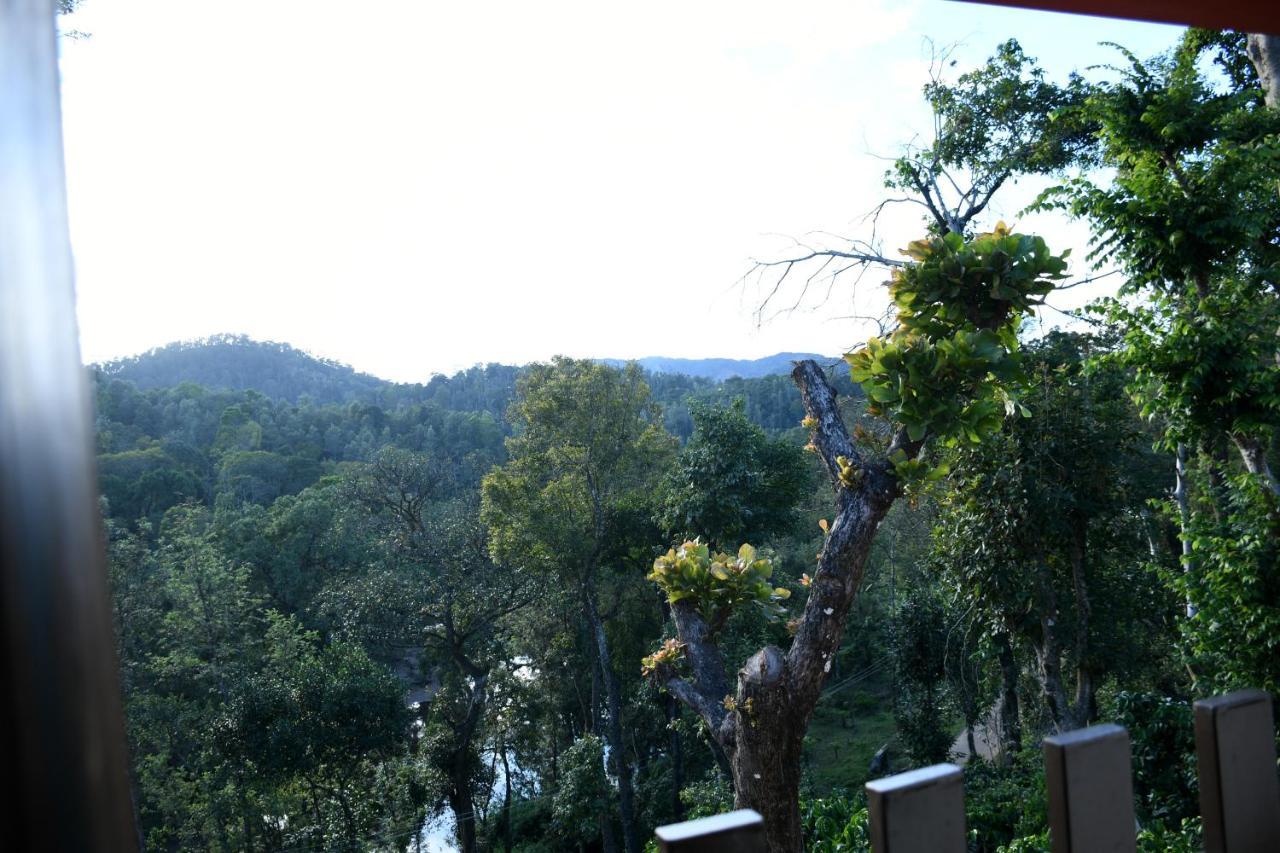 River View Guest House 马迪凯里 外观 照片